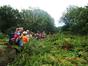 bergwandern-2014-03-klein